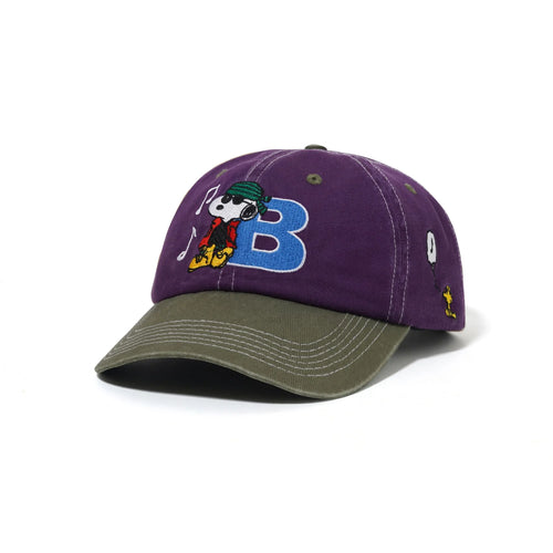 Butter Goods - Music SnapBack Cap (Washed Purple/Fern)
